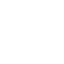 government white.png